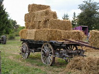 Charrette (Fete de la Moisson St Simeon de Bressieux 2006)